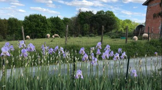 La Banne Nord Villa Val de Louyre et Caudeau Dış mekan fotoğraf